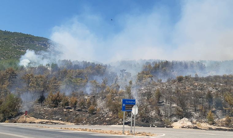 Orman yangını çıktı yollar ulaşıma kapatıldı