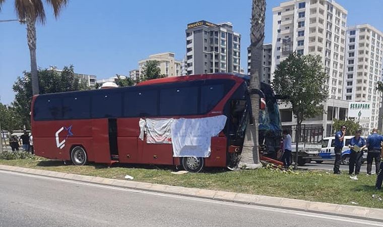 Ağaca çarpan yolcu otobüsünün şoförü öldü, firma ismi çarşafla kapatıldı