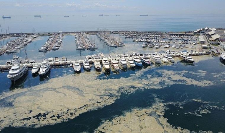 ODTÜ'nün müsilaj araştırmasından ilk sonuçlar: Bu durumla hiç karşılaşmamıştık