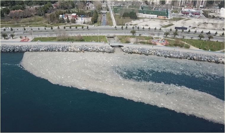 CHP'li Öztunç, Marmara Denizi'ndeki müsilaj sorununun çözümüne ilişkin önerilerde bulundu