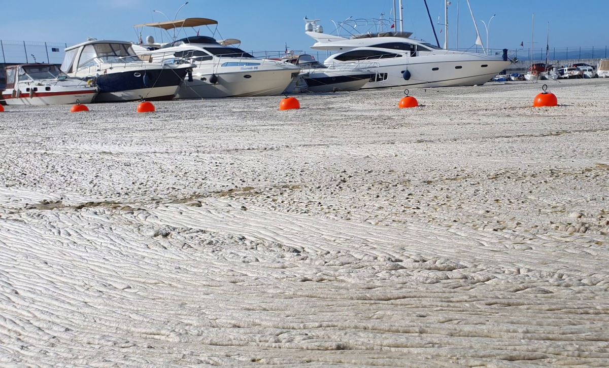 Marmara'da müsilajın boyutlarını gözler önüne seren kareler