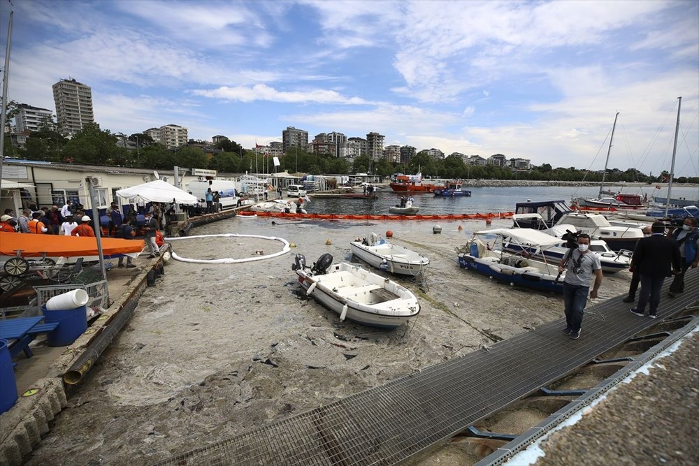 Marmara Denizi Eylem Planı: Müsilaj (Deniz salyası) temizliği başladı