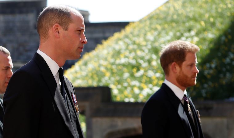 Prens William ve Harry, anneleri Prenses Diana'nın heykelini açacak