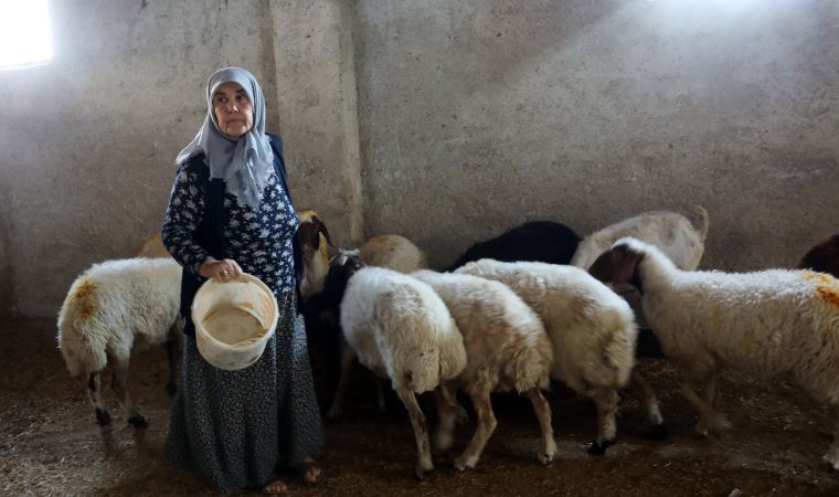 'Kadınsın yapamazsın' dediler, kendi çiftliğini kurdu