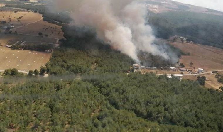 İzmir'in Bornova ilçesinde orman yangını çıktı