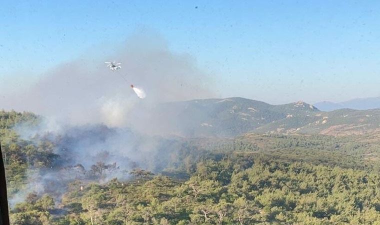 Foça'da orman ve makilik yangını: 1 saatte söndürüldü