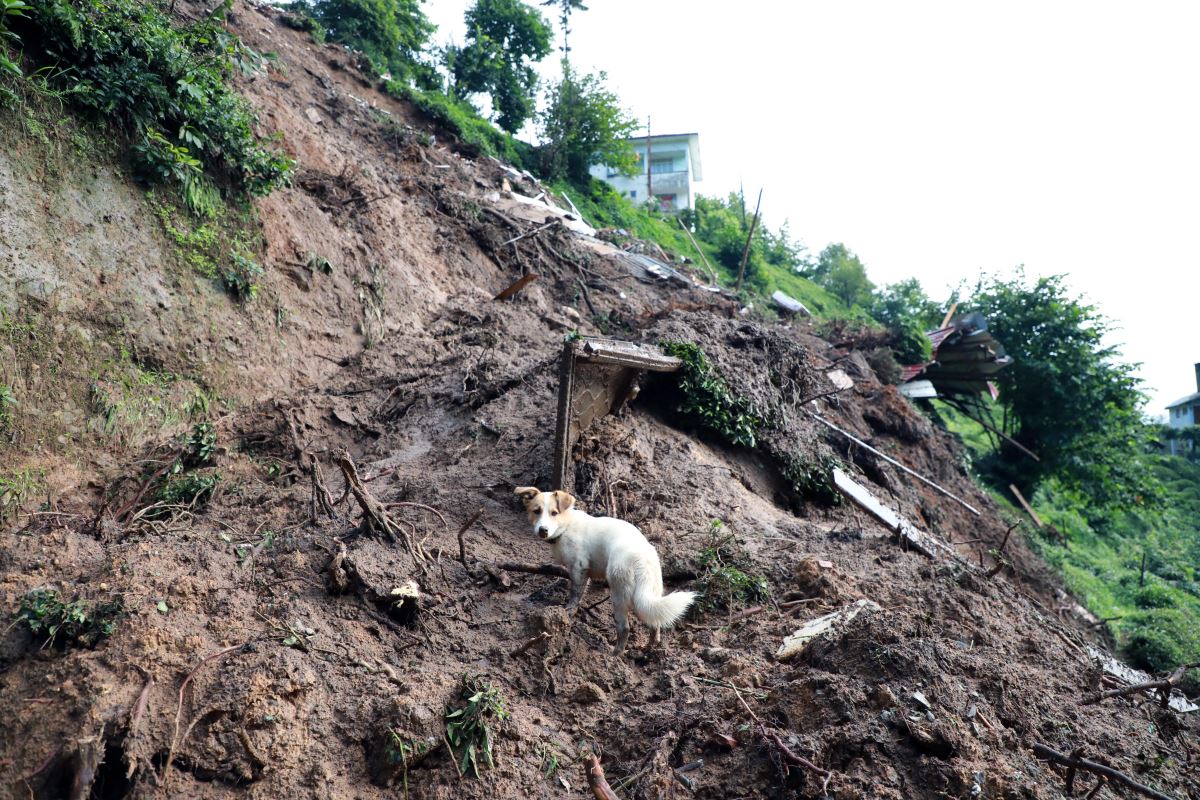 Son dakika... Rize'de sel ve heyelan felaketi: Ölü sayısı artıyor