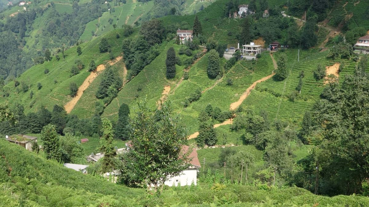 Rize'de heyelanda evler askıda kaldı