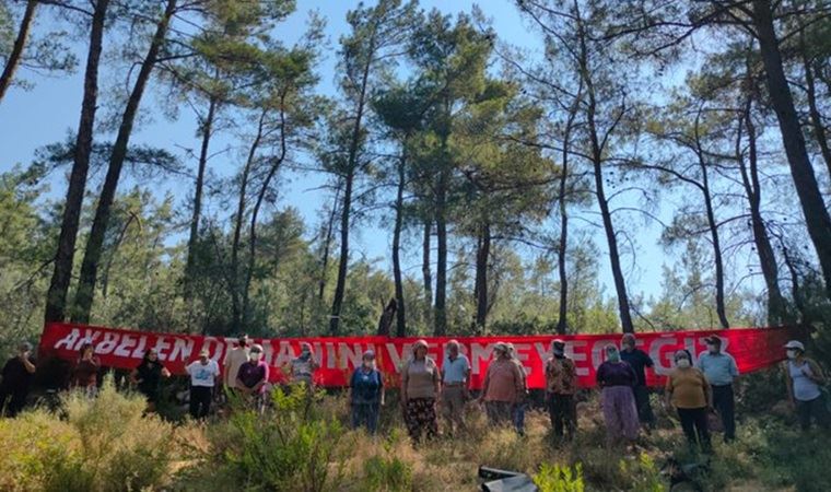 Akbelen Ormanı'nda termik santral için ağaç kıyımı başladı