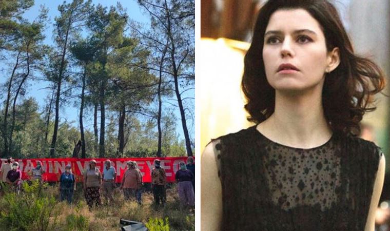 Beren Saat'ten Akbelen Ormanı'ndaki ağaç kıyımına tepki