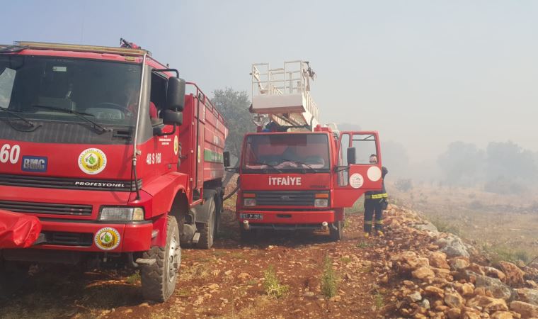 Kaş'ta tarım arazisinde yangın çıktı: 200 zeytin ağacı kül oldu