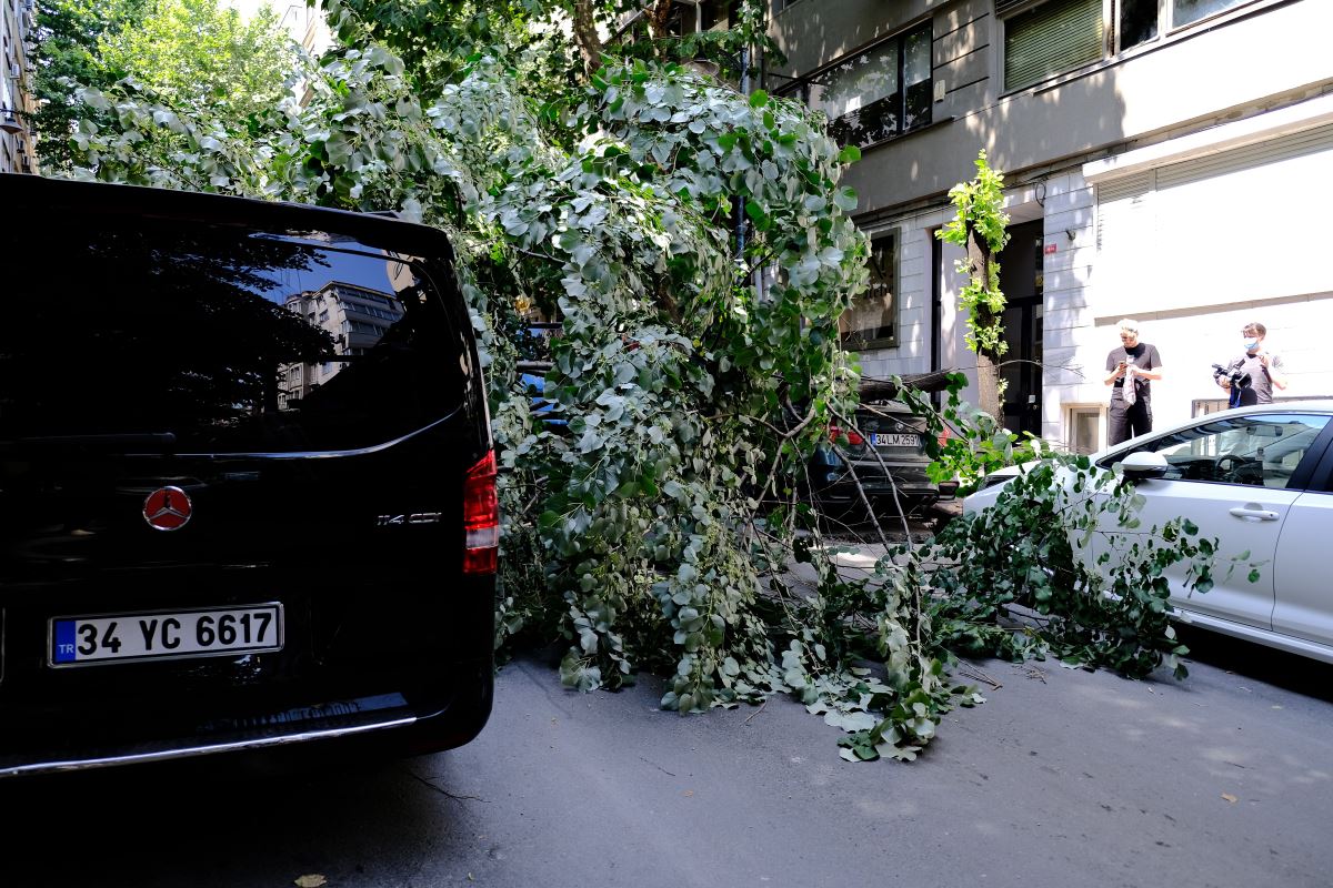 Ünlü oyuncunun lüks aracının üzerine ağaç devrildi