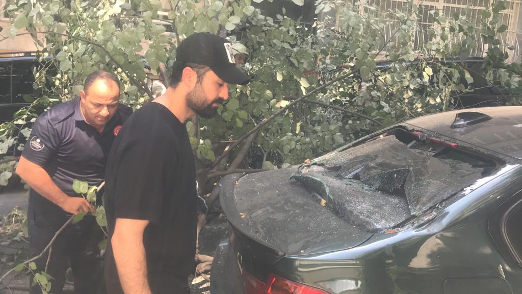 Ünlü oyuncunun lüks aracının üzerine ağaç devrildi