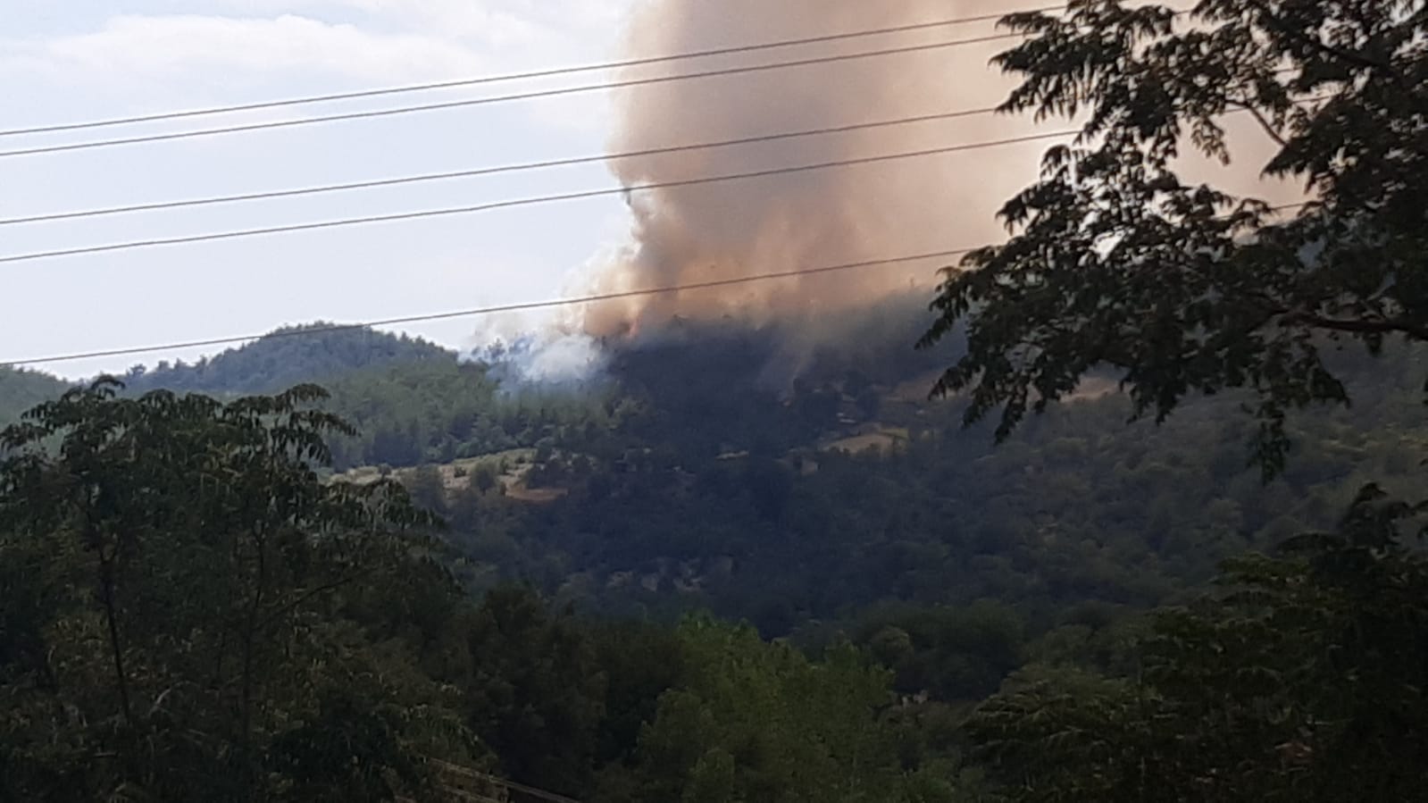 Osmaniye'de büyük yangın: Ekipler sevk edildi