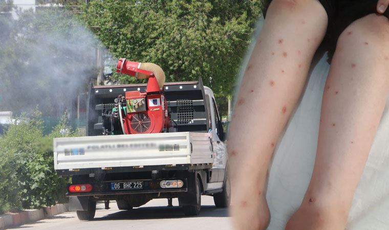 İstanbul'da sivrisinek istilasının görüldüğü ilçelere yenileri eklendi