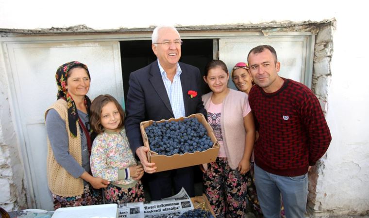 Kavacık Üzüm Festivali başlıyor