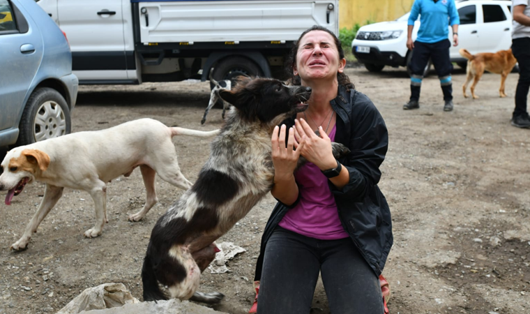 Arhavi ilçesinde selde mahsur kalan köpekler böyle kurtarıldı