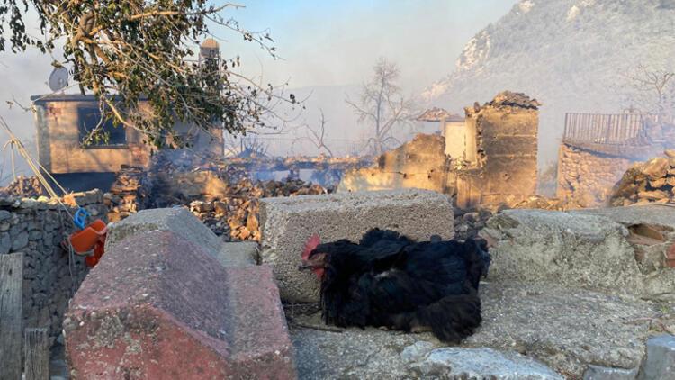 Antalya'dan korkunç görüntüler! Birçok noktada yangın var