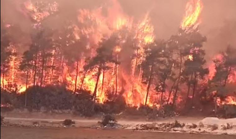 Milas'ta alevler iki otelin bahçesine kadar dayandı