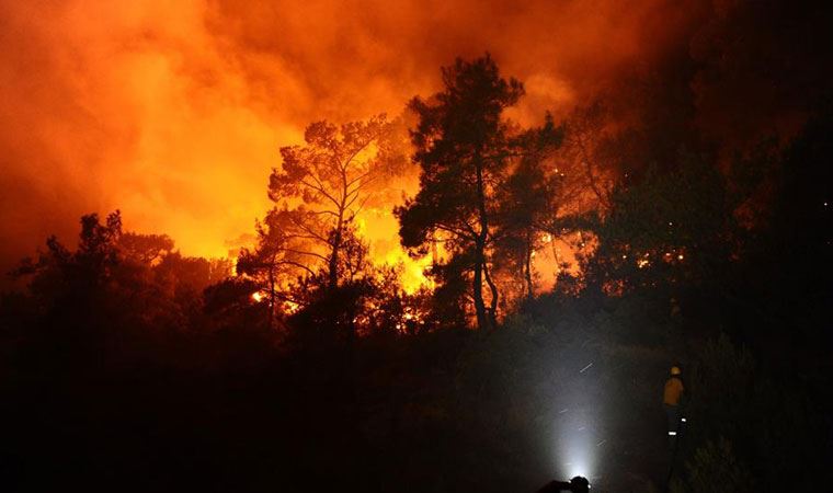 Milas ilçesindeki orman yangınına ilişkin soruşturma başlatıldı