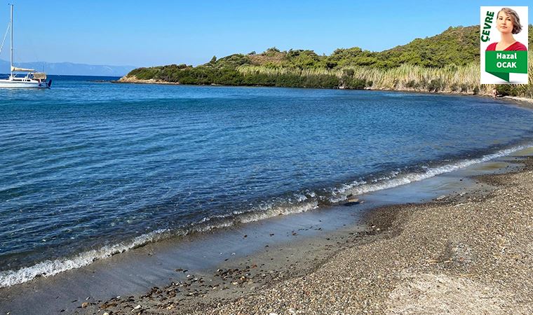 Yargı, Datça’nın en güzel koyu Alavara’da yapılaşmanın önünü açan kararı iptal etti