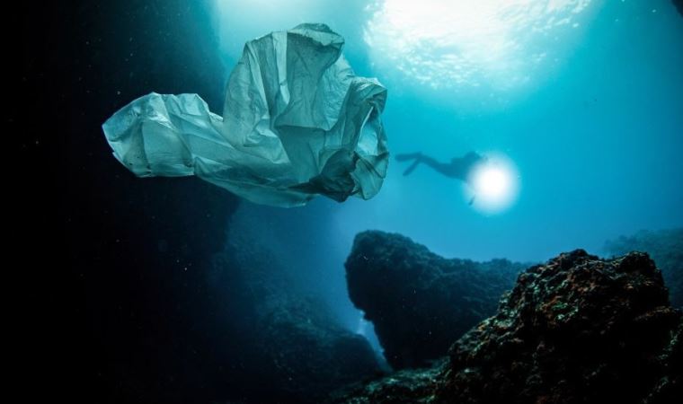 3 Temmuz Dünya Plastik Poşet Kullanmama Günü: Plastik poşetler hakkında bilmeniz gerekenler