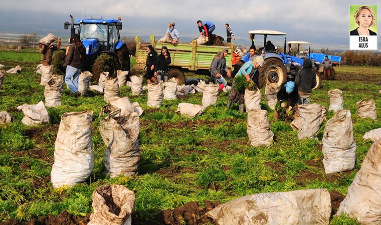 Türkiye ekonomisini ayakta tutuyor denilen Suriyeliler 16 saat çalışıyor