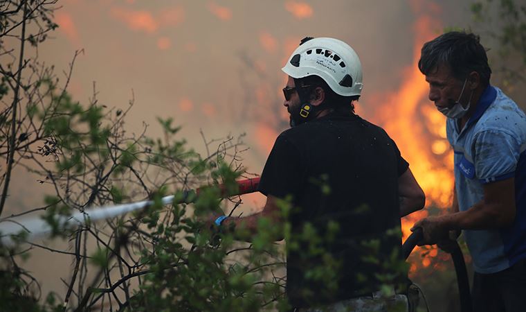 Marmaris'teki orman yangının acı bilançosu açıklandı