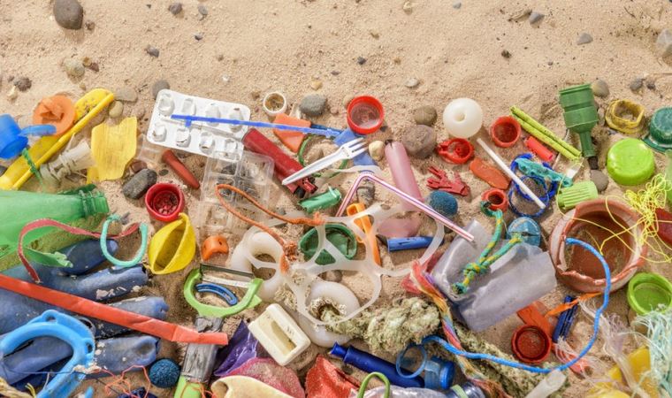 Plastik yiyen bakteri ve mantarlar atık sorununa çözüm olabilir mi?