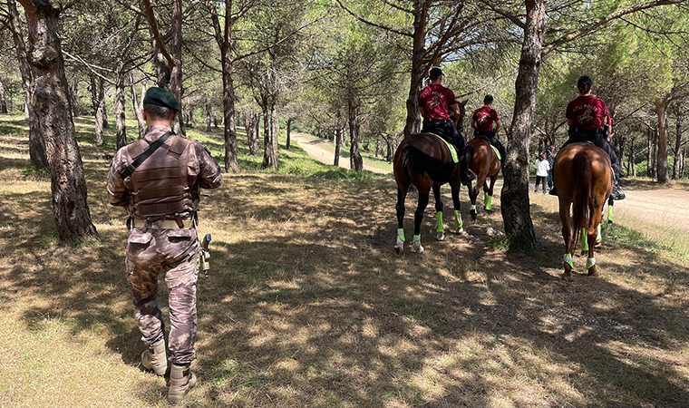 İstanbul Valiliği'nden 'ormanlara girmek yasak' açıklaması