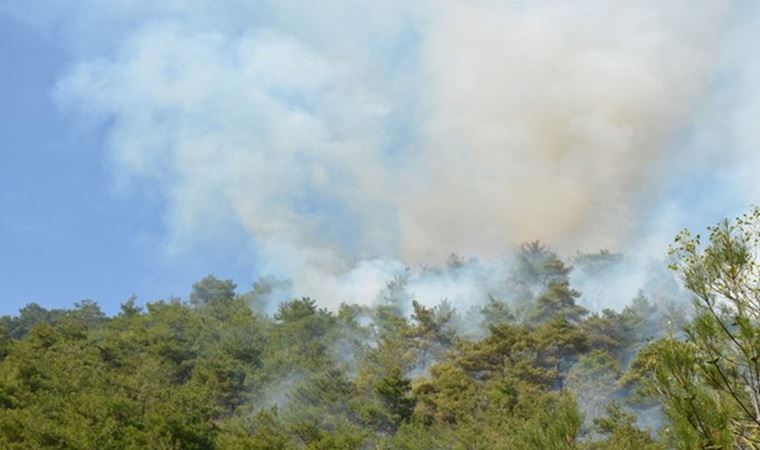 Türkiye'nin ciğerleri alevler içinde: Kastamonu'da da orman yangını başladı