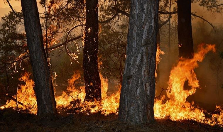 Çevre Mühendisleri Odası: Tüm sorunların tek bir adı vardır