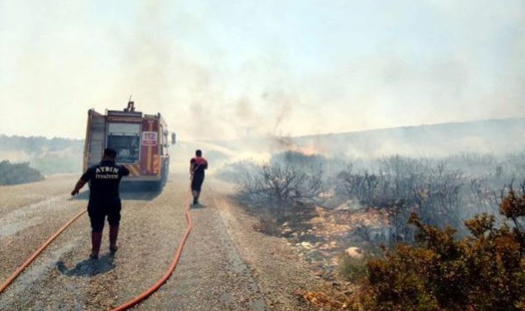 Aydın'da makilik alanda çıkan yangınla ilgili 3 kişi gözaltına alındı