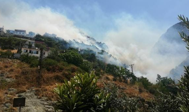 Son dakika... Hatay'da yangın: Alevler evlere sıçradı