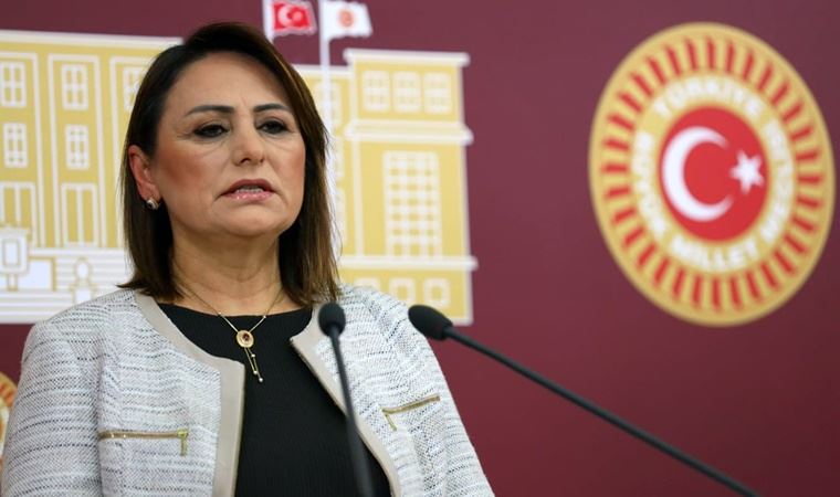 CHP'li milletvekili Dr. Müzeyyen Şevkin: Türkiye'nin enerji güvenliği tehlikede!