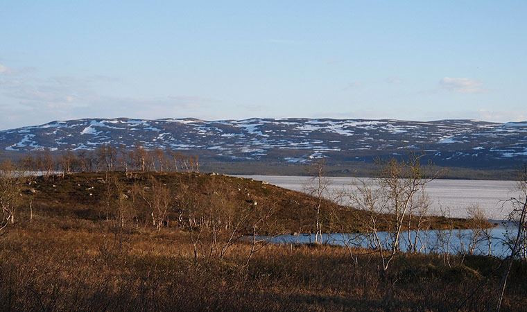 Finlandiya'nın Arktik bölgesindeki Laponya'da 107 yılın en yüksek sıcaklığı ölçüldü