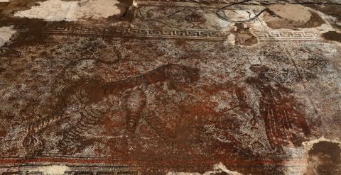 Kaçak kazıda bulunan Bizans mozaikleri, Zeugma Müzesi'ne taşındı