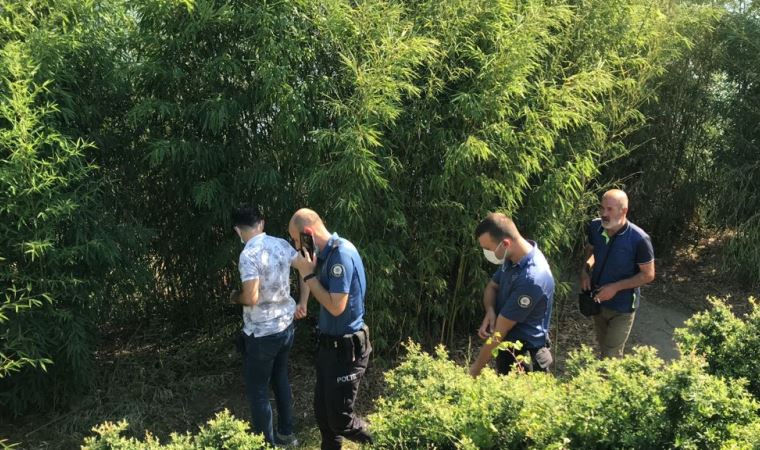 Sazlık yangınında görgü tanıklarının iddiası polisi harekete geçirdi