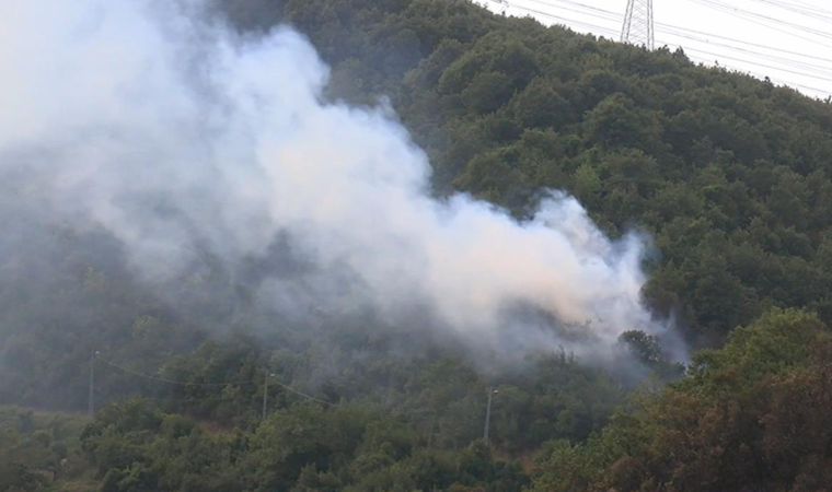 İstanbul'da orman yangını! Yine aynı bölgede çıktı