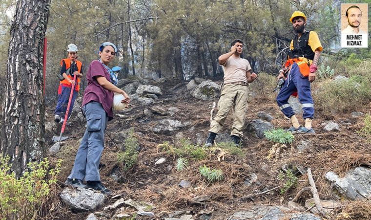 Gönüllüler, günlerce ormanda yattılar, yangına karşı mücadele ettiler