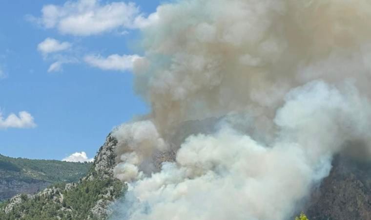 Alanya'da orman yangını çıktı! Havadan ve karadan müdahale ediliyor