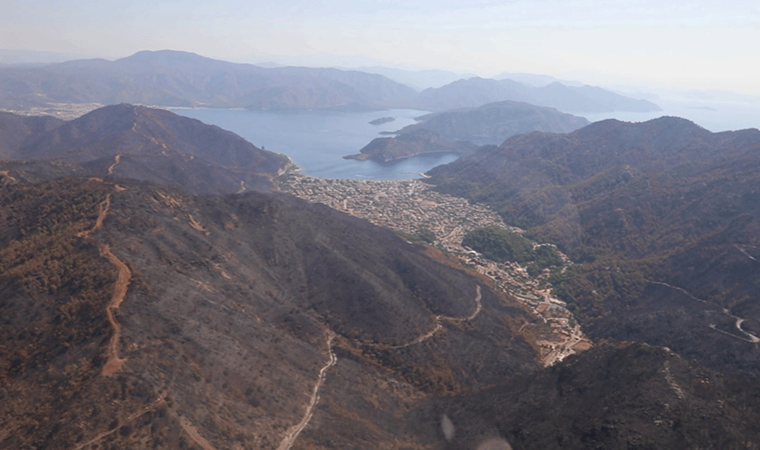 Muğla orman varlığının yüzde 8’ini kaybetti