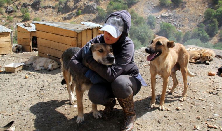 Öğretmen Eda, sokak köpekleri için tayini reddetti