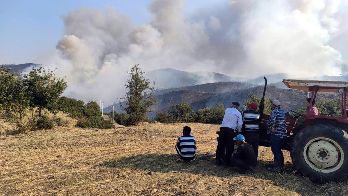 Aydın yanıyor! Yangın Muğla'ya sıçradı