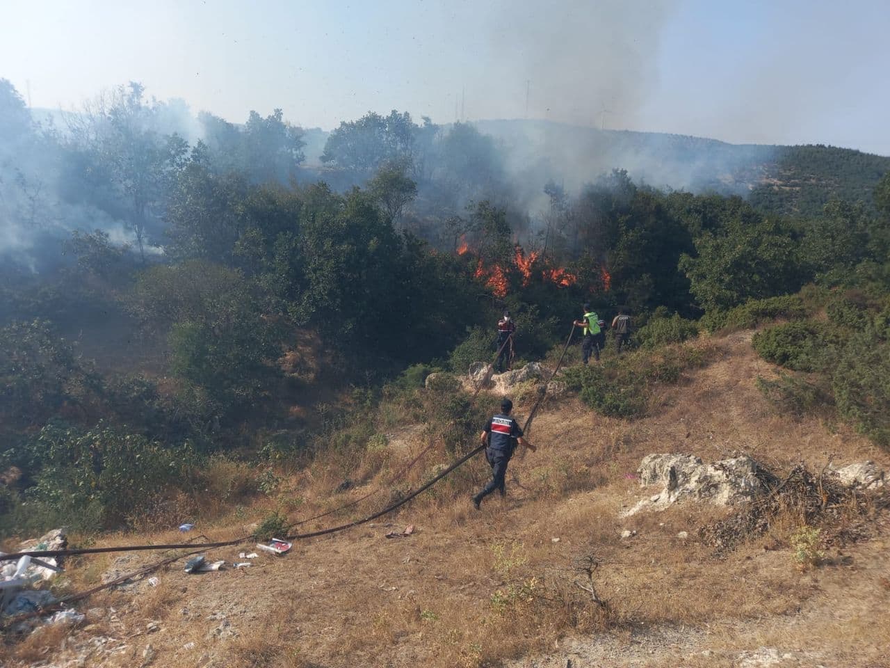 Balıkesir'de orman yangını (02.08.2021)