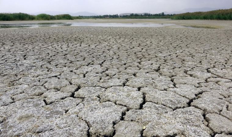 Bir milyar çocuk iklim krizi nedeniyle 'yüksek risk' altında