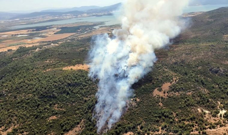 Son dakika... İzmir'in Menderes ve Urla ilçelerinde orman ve makilik alanlarda yangın çıktı