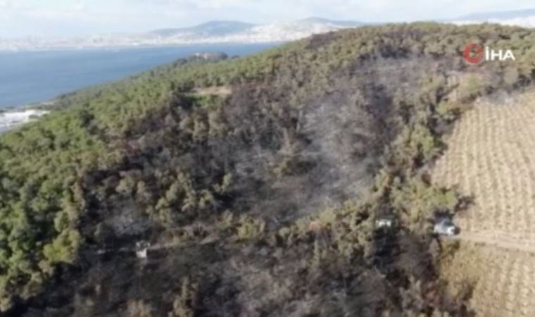 Heybeliada’da yangının bıraktığı hasar havadan görüntülendi