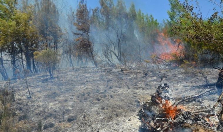 Antalya, Kastamonu ve Sinop'taki afet bölgeleri için acele kamulaştırma kararı