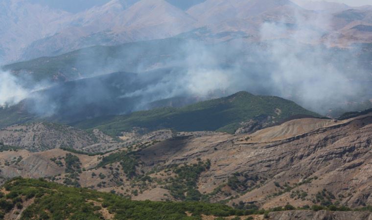 Tunceli'de yangın çıktı, valilik yasak kararı aldı